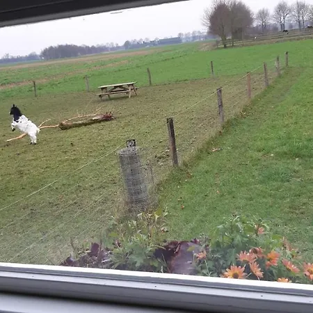Wijd En Zijt Pipowagen Bed & Breakfast