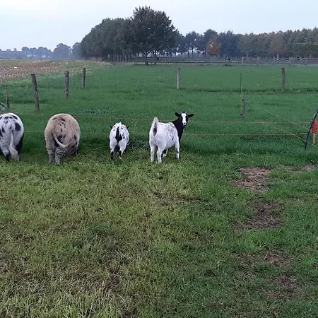 Wijd En Zijt Pipowagen Veghel