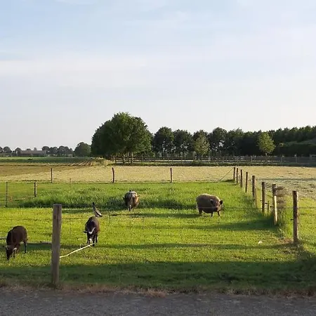 Bed & Breakfast Wijd En Zijt Pipowagen *