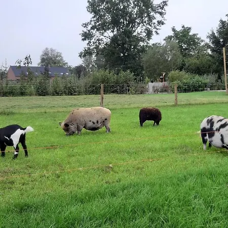 Wijd En Zijt Pipowagen Veghel